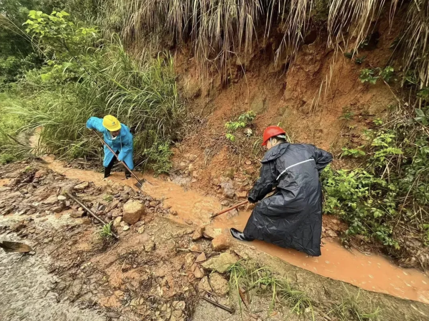截屏2024-06-20 17.26.14.png